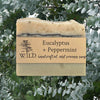 Eucalyptus + Peppermint – Handcrafted Cold Process Soap by WILD